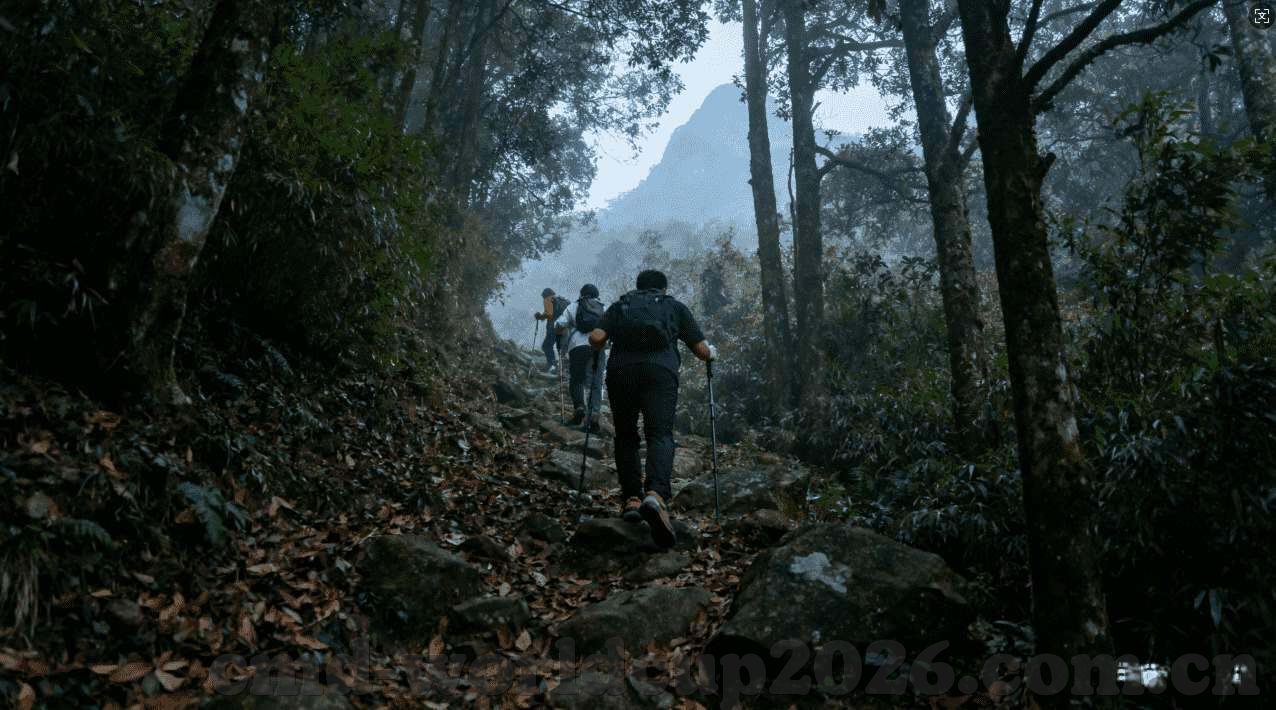 世界杯八强彩票-世界杯八强彩票，激情与梦想的碰撞